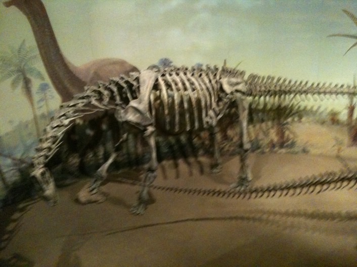 Dinasaur img_0182