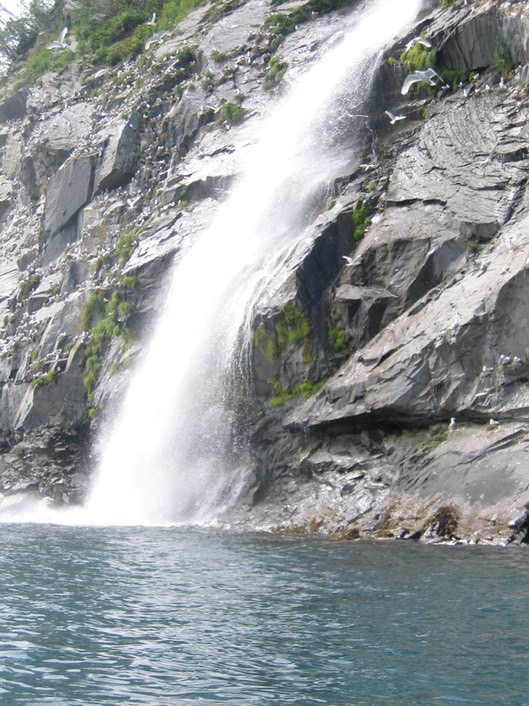 Rookery and waterfall img_2278