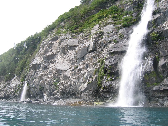 Rookery and waterfalls img_2280