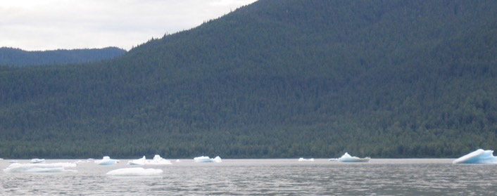 Glacier Pieces img_2478