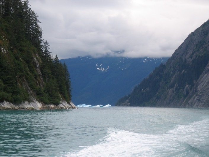 Tracy Arm with Glacier Chunk img_2501