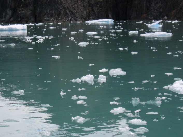 Glacier Chunks img_2519