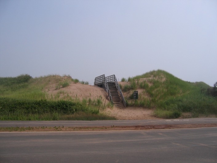 Sand dunes img_3247